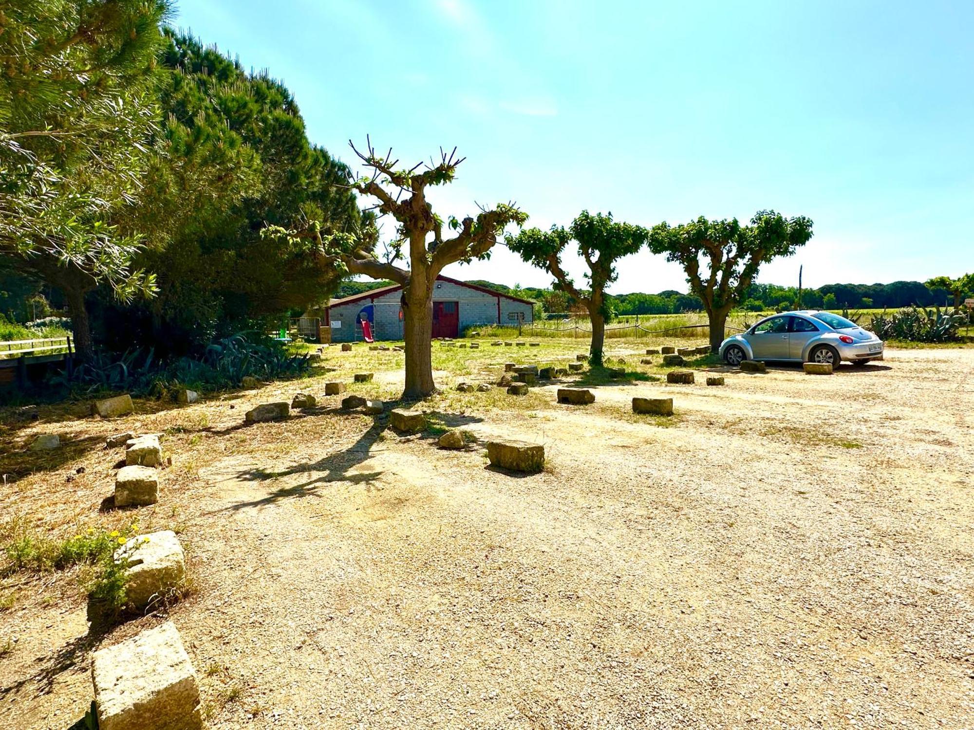 Les Appartements Du Mas - Rose Marie Aigues-Mortes Exterior foto