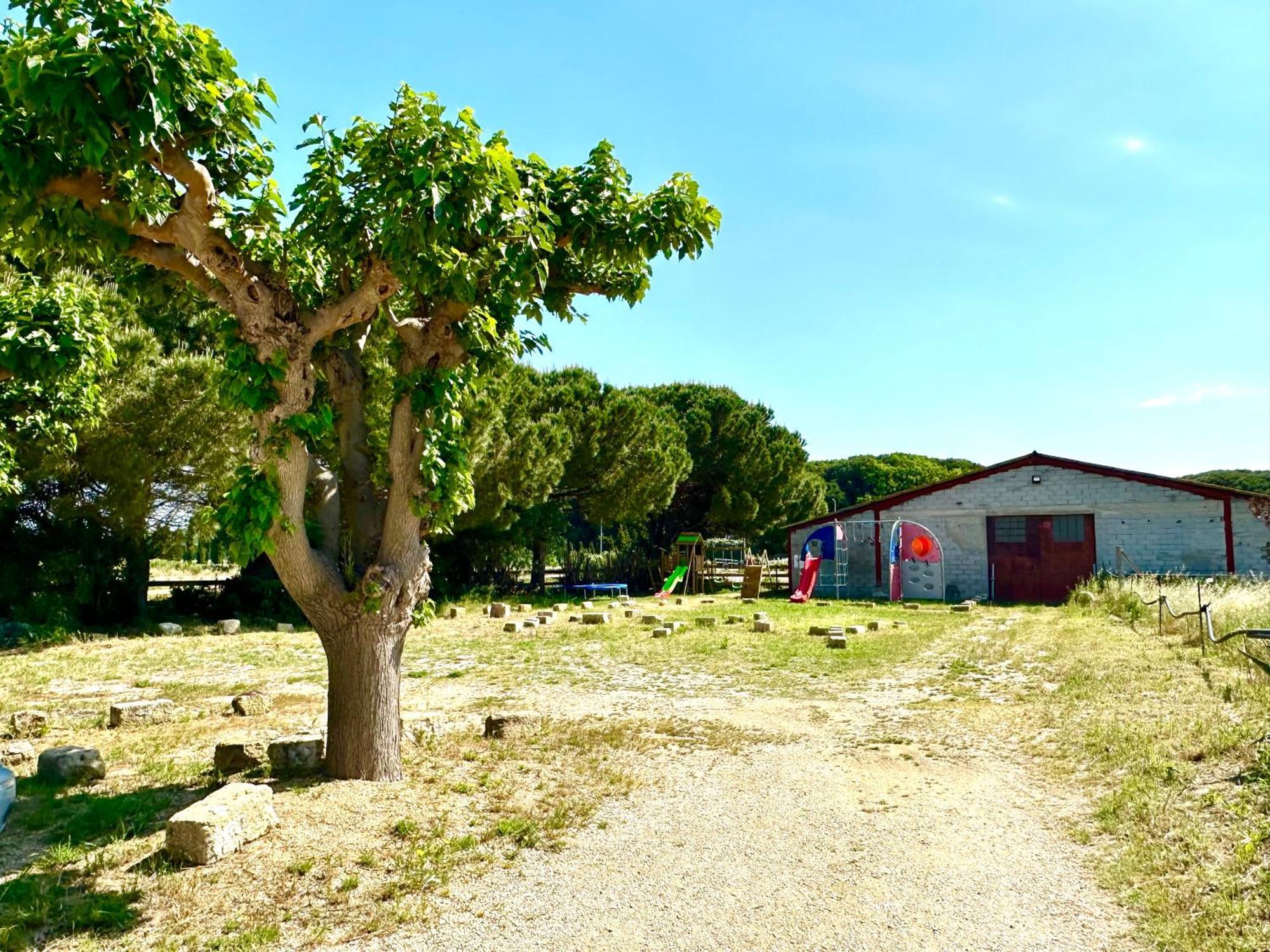 Les Appartements Du Mas - Rose Marie Aigues-Mortes Exterior foto